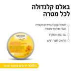 באלם קלנדולה לכל מטרה