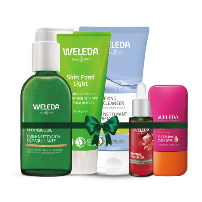 המומלצים של אלין כהן