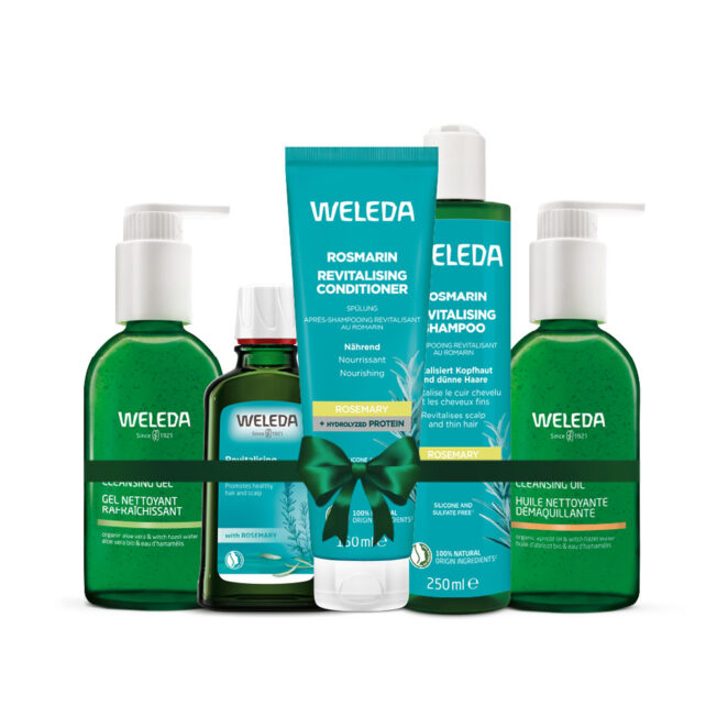 המומלצים של לובה שרגא