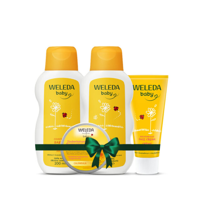 מארז לחות לחורף