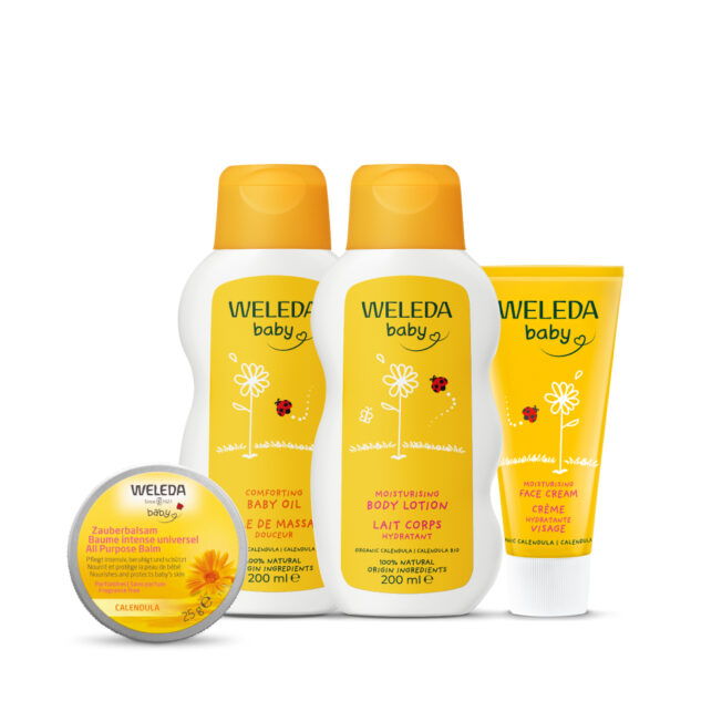 מארז לחות לחורף