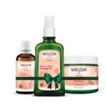 מארז סימני מתיחה ופרינאום