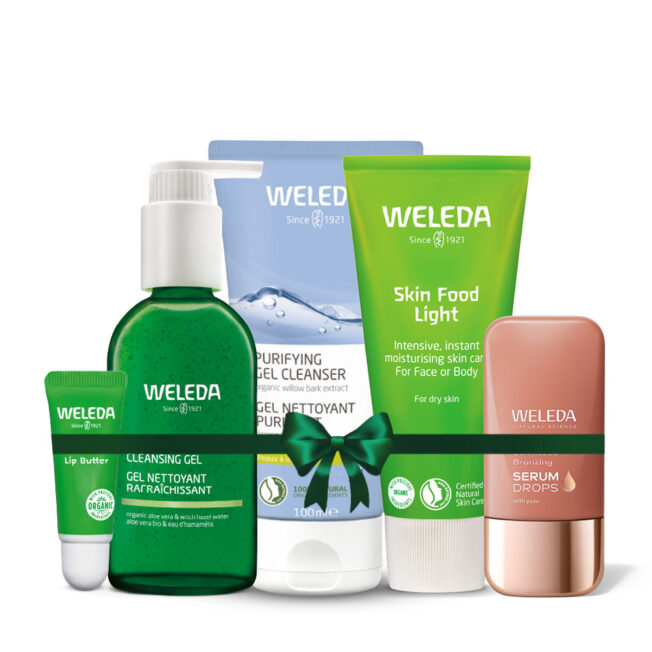 המומלצים של נועה מבורך