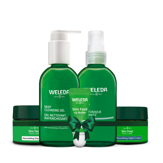 המומלצים של עמית בן דויד