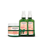 מארז סימני מתיחה בדגש על שמן הריון