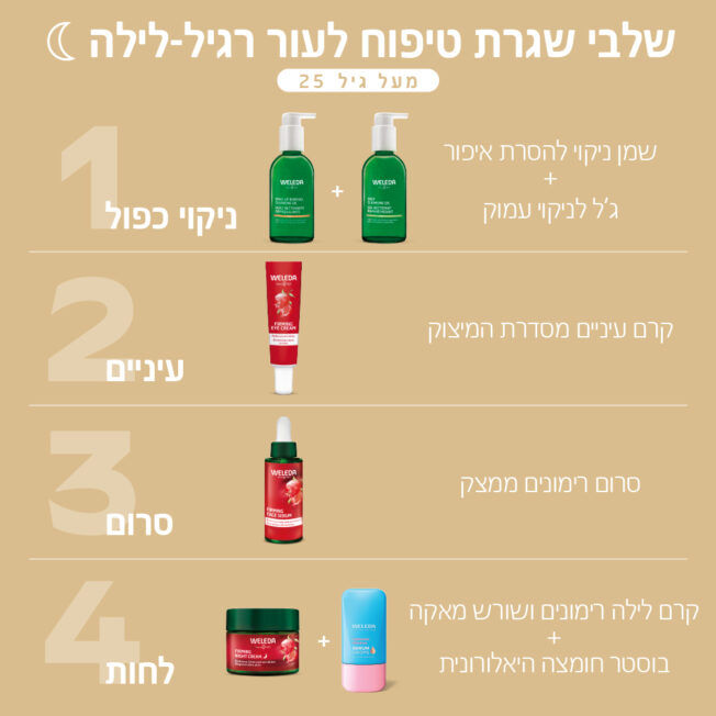 שגרת טיפוח ללילה לעור רגיל בוגר