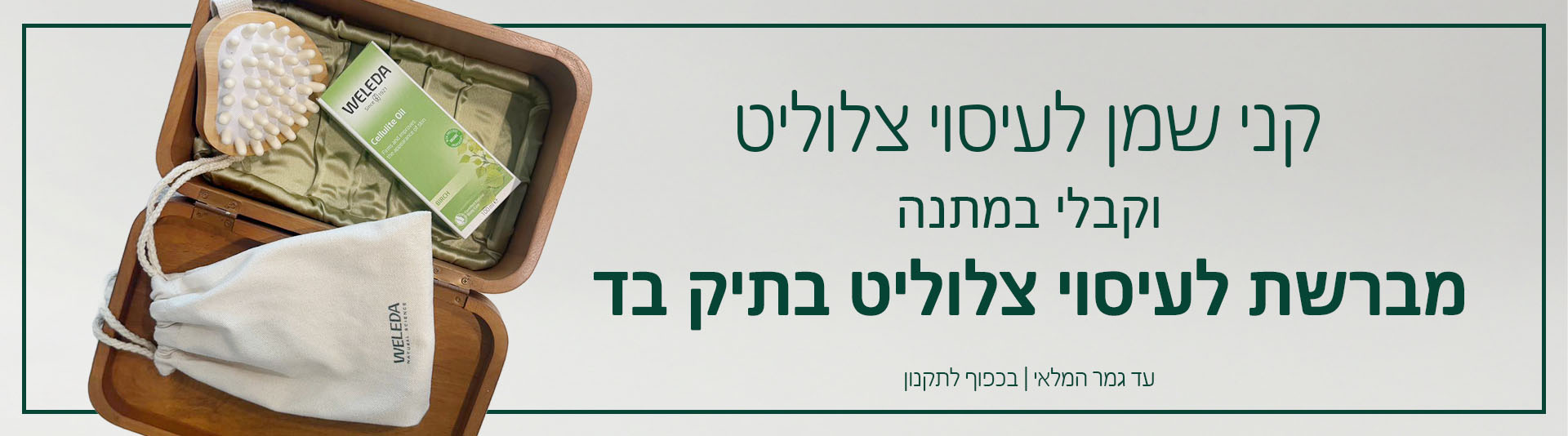 באנר דסקטופ צלוליט