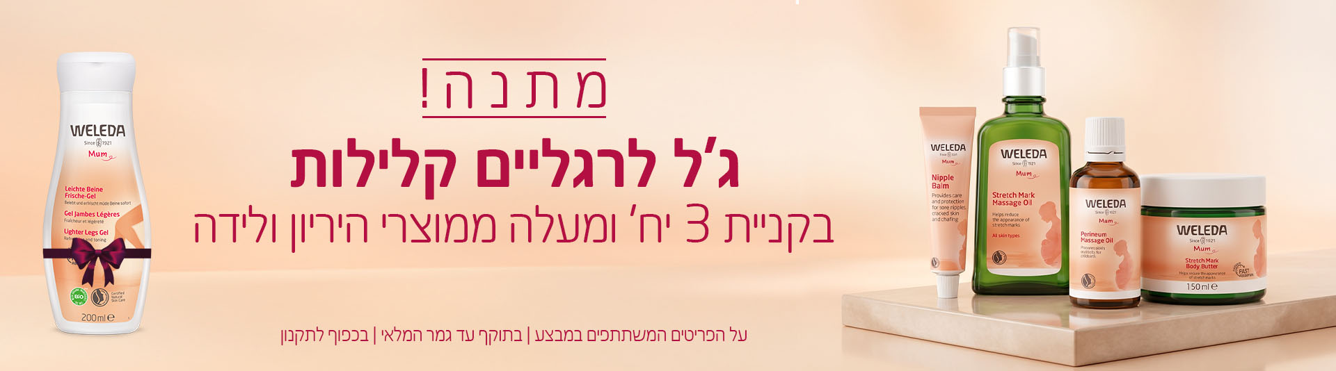 באנר דסקטופ2
