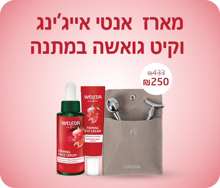 רימונים גואשה דסקטופ2