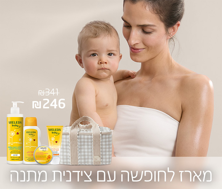 מארז צידנית דסקטופ