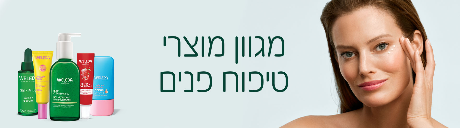 קטגוריה פנים דסקטופ