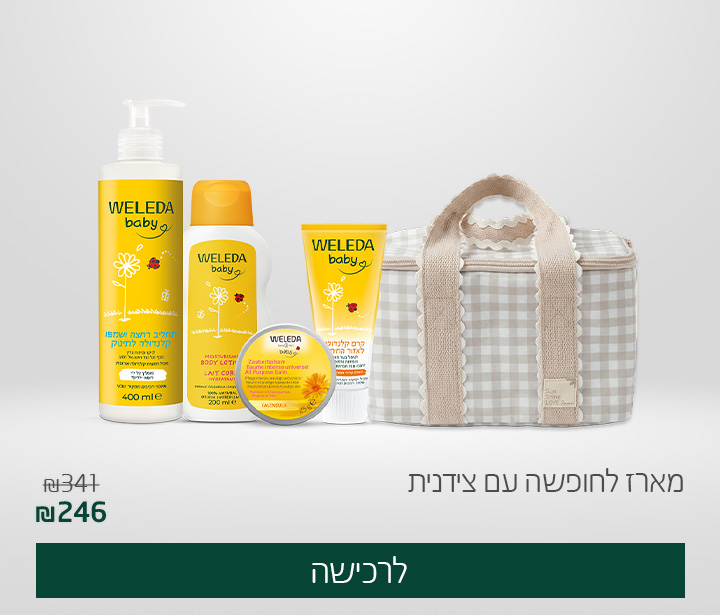 צידנית
